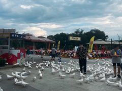 -成都欢乐谷