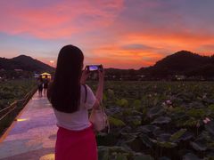 -红山村