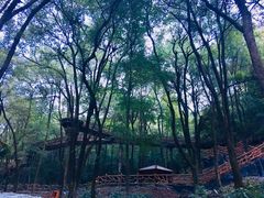 -石燕湖生态旅游景区