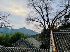 -潭柘寺景区