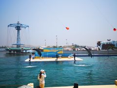 -秦皇岛乐岛海洋王国