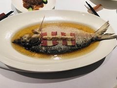陈年花雕蒸鲥鱼-福1088