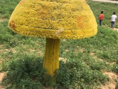 景点-大塘金香草谷