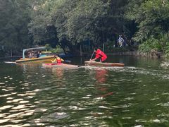-晓港公园