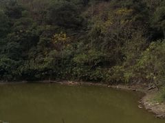 -南宁良凤江国家森林公园