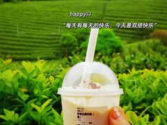 -白茶原·一片叶子