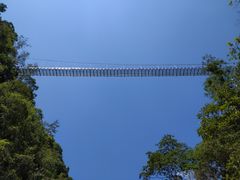 -九龙江国家森林公园