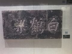 -白鹤梁水下博物馆