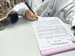 -海门爱心宠物医院