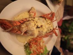-Red Lobster