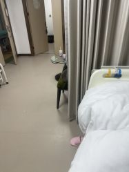 -上海华美医疗美容医院