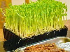 -常赢三兄弟·清真涮肉(崂山路总店)