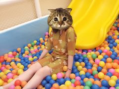 -汤里来温泉