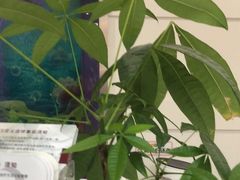-雅悦齿科(顾村公园店)