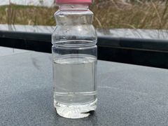 -春花秋色城市公园