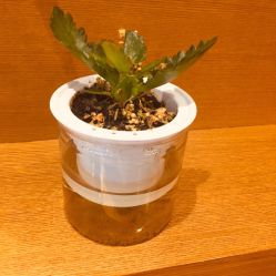 -时尚殿堂·颜SPA