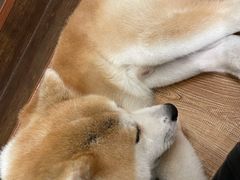 -YCHL Studios健身工作室(市二宫店)