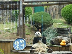 -大连森林动物园