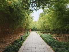 -上海方塔园