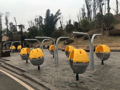 -枫香湖儿童公园