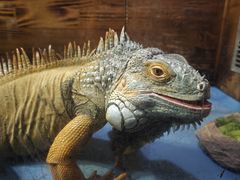 -洛阳龙门海洋馆