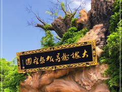 -大槐树寻根祭祖园