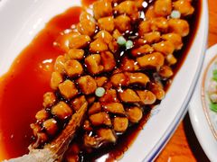 老醋松鼠鱼-醉长安(南门总店)