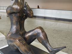 -米兰马尔彭萨国际机场