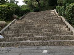-炮台山公园