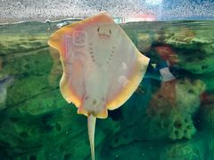 -珠海长隆海洋王国