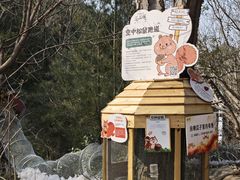 -佛慧山