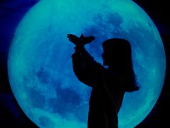 -成都梵高星空艺术馆(春熙路旗舰店)