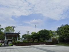 -洋湖国家湿地公园