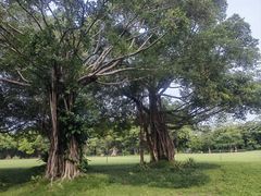 -南宁南湖公园