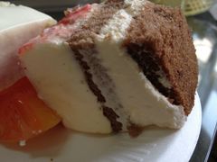 -维尔纳斯·生日蛋糕动物奶油冰淇淋蛋糕(人大店)