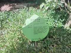 -海花岛旅游度假区