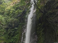 -莫里热带雨林景区