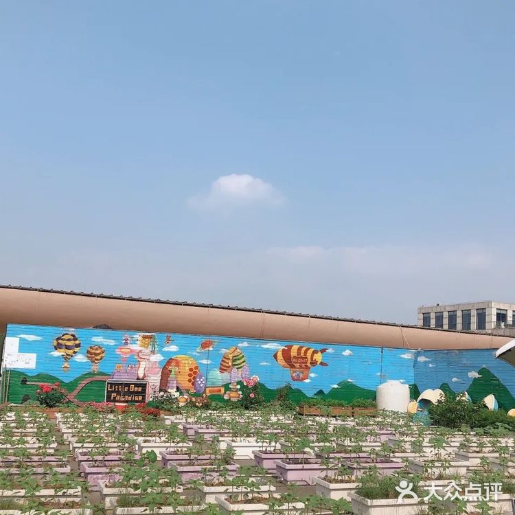 六一儿童节|带娃来到有趣的农场乐园