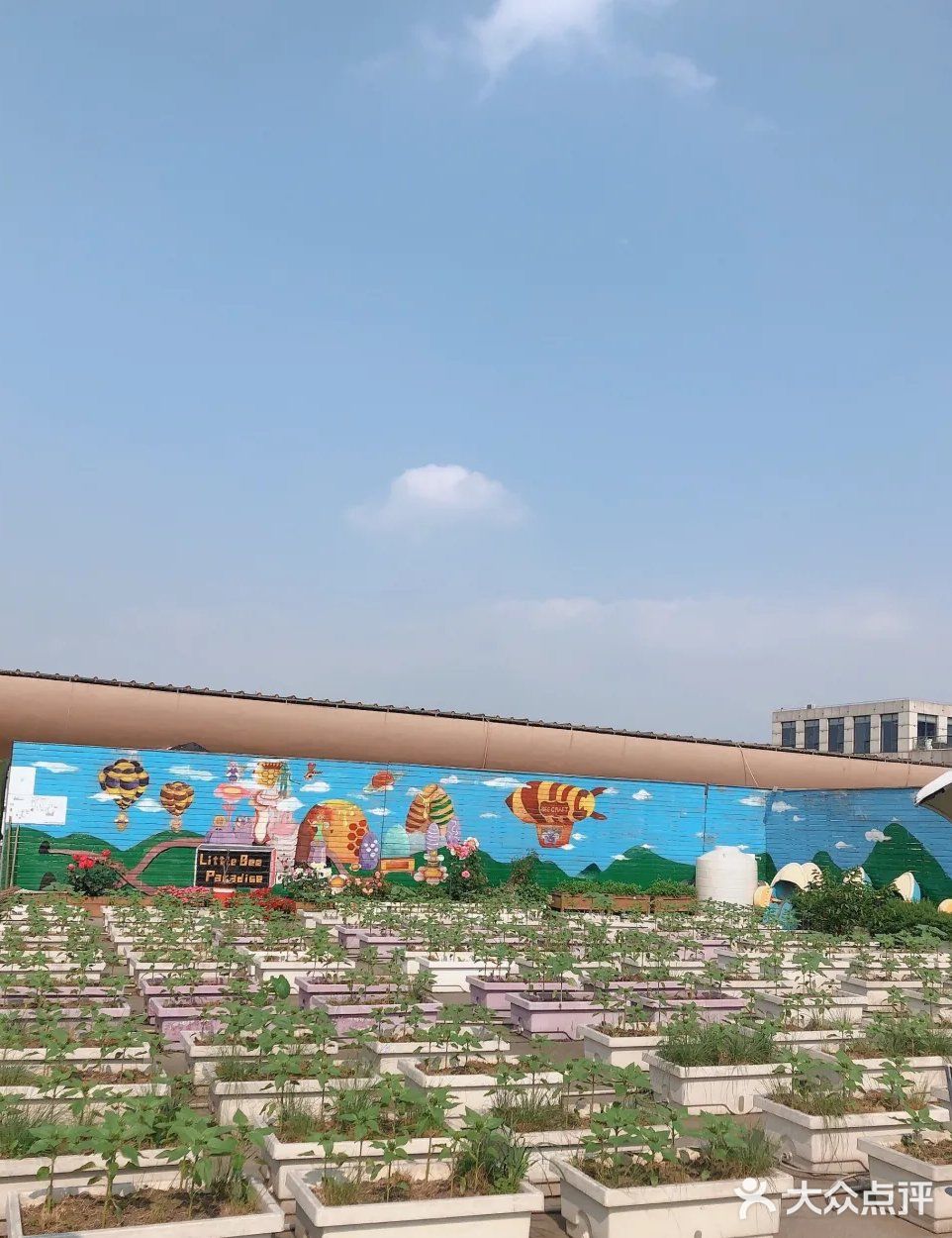 六一儿童节|带娃来到有趣的农场乐园