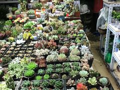 -三旗百汇商品城