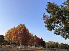 -阳澄湖半岛旅游度假区