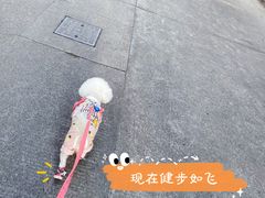 -哆趣宠物医院·眼科·内镜·急重症转诊中心(上海店)