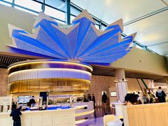 -虹桥机场V2贵宾休息室