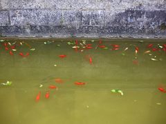-密印寺