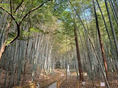 -敬亭山风景名胜区