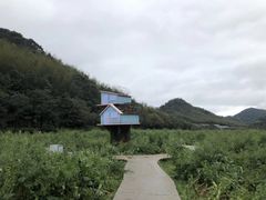-广州市石门国家森林公园