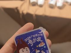 -广西壮族自治区博物馆