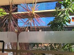 -Bco豆库(星耀天地店)