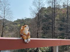 -云溪植物园