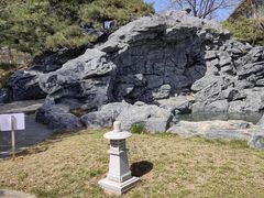 -和园景逸大酒店朗月汤泉